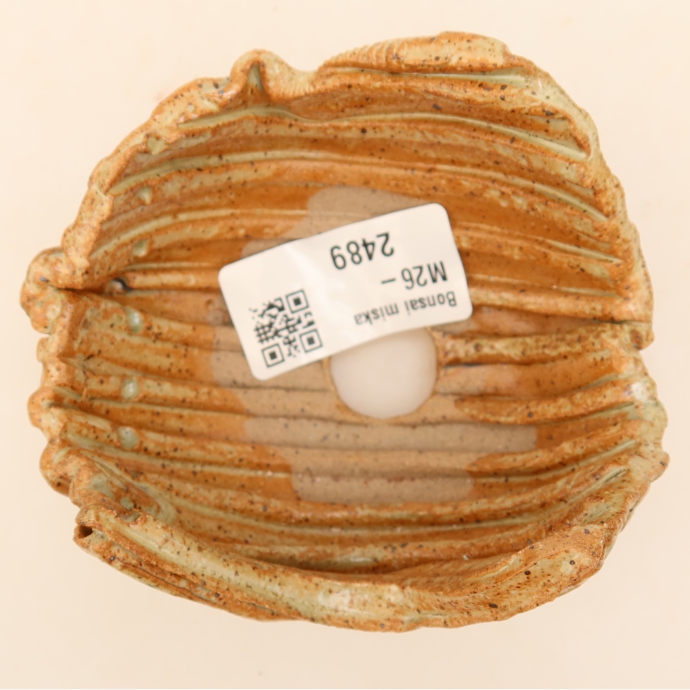 Coquille en céramique 9 x 8,5 x 5,5 cm , couleur beige