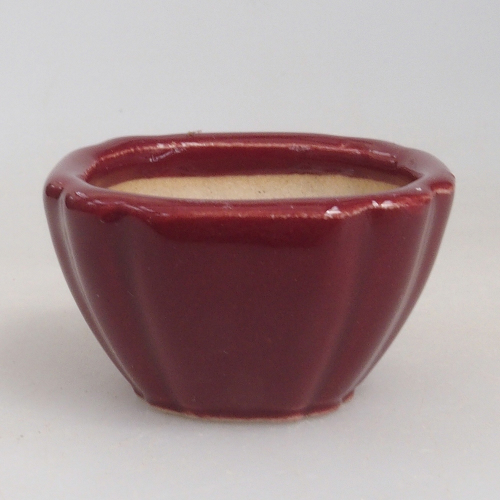 Mini bol bonsaï 4,5 x 4,5 x 2,5 cm, bordeaux