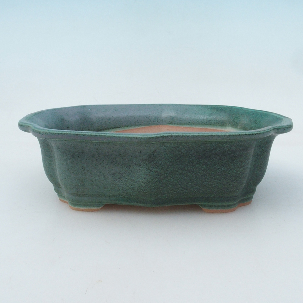 Bol à bonsaï H51 - 18 x 14 x 5 cm - vert