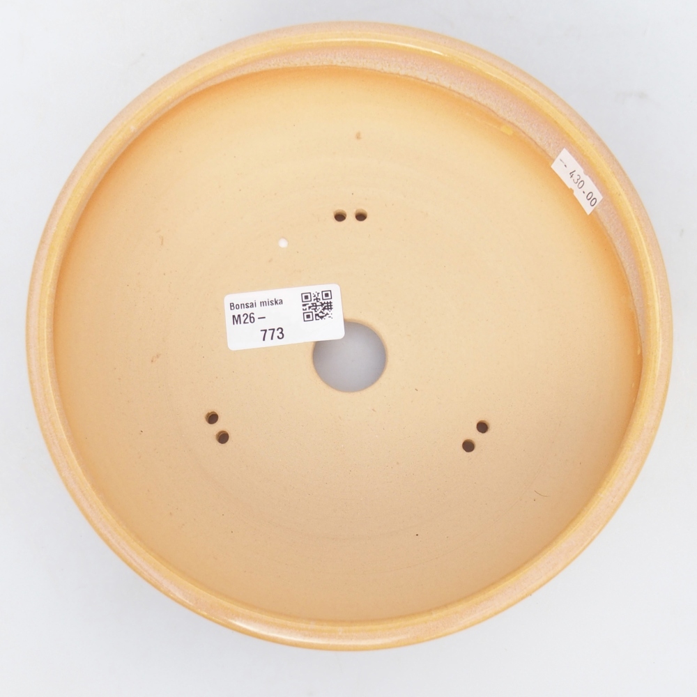 Bol à bonsaï en céramique 19,5 x 19,5 x 6 cm, couleur brun-jaune