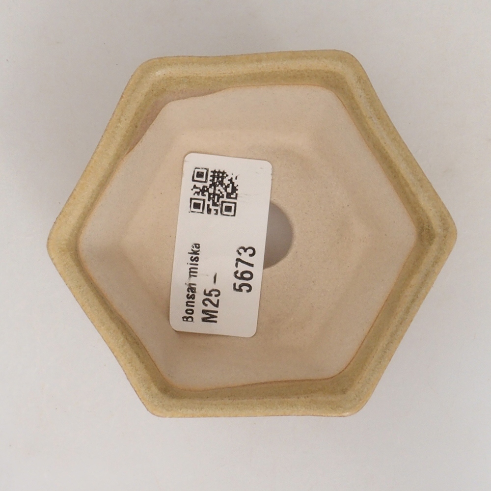 Mini bol bonsaï 8 x 7 x 4 cm, brun