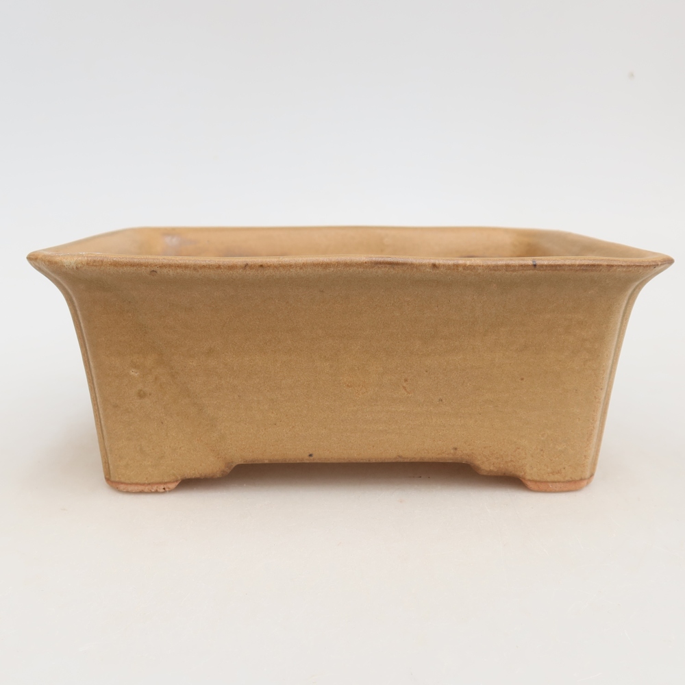 Bol à bonsaï en céramique 18 x 14 x 7 cm, couleur beige