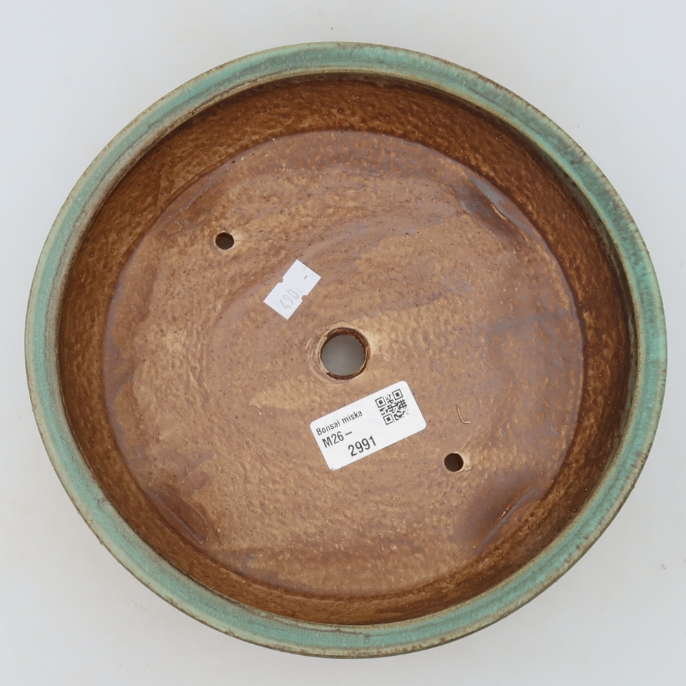 Bol à bonsaï en céramique 21,5 x 21,5 x 6 cm, vert