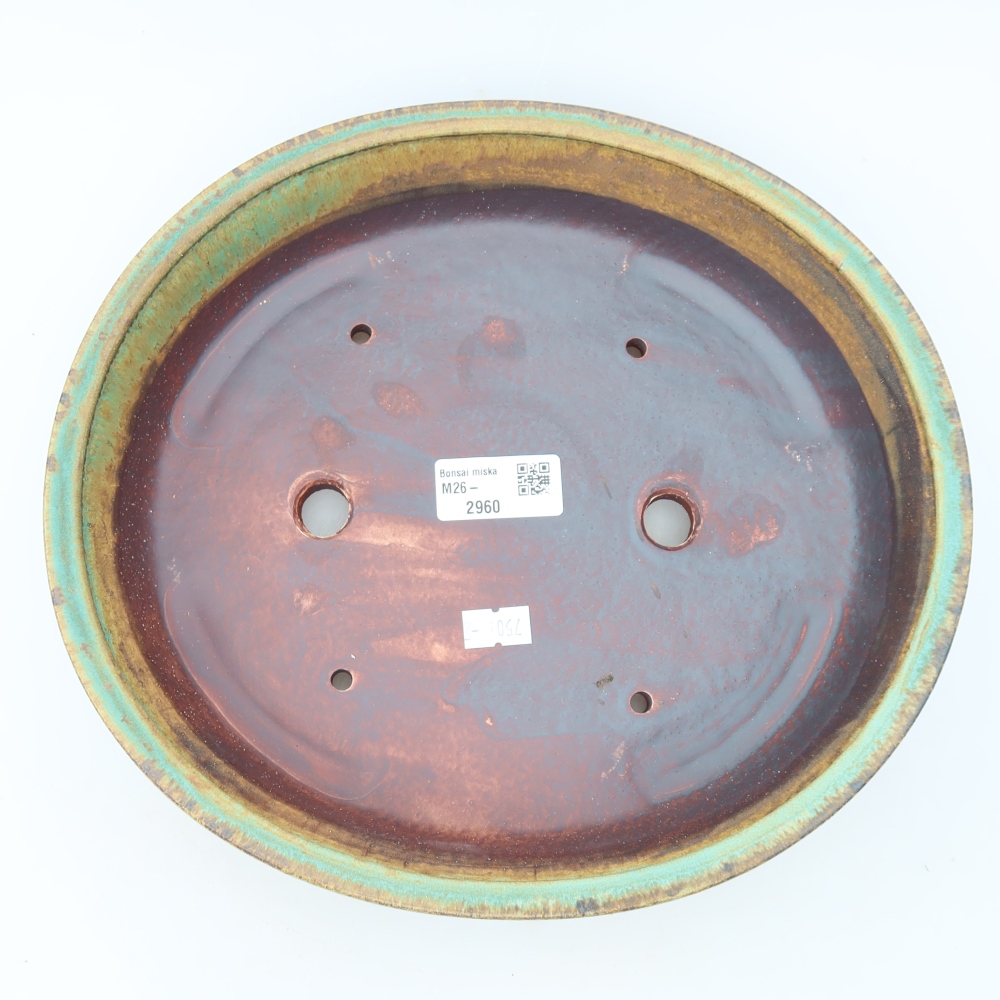 Pot à bonsaï en céramique 27 x 24 x 5,5 cm, couleur verte