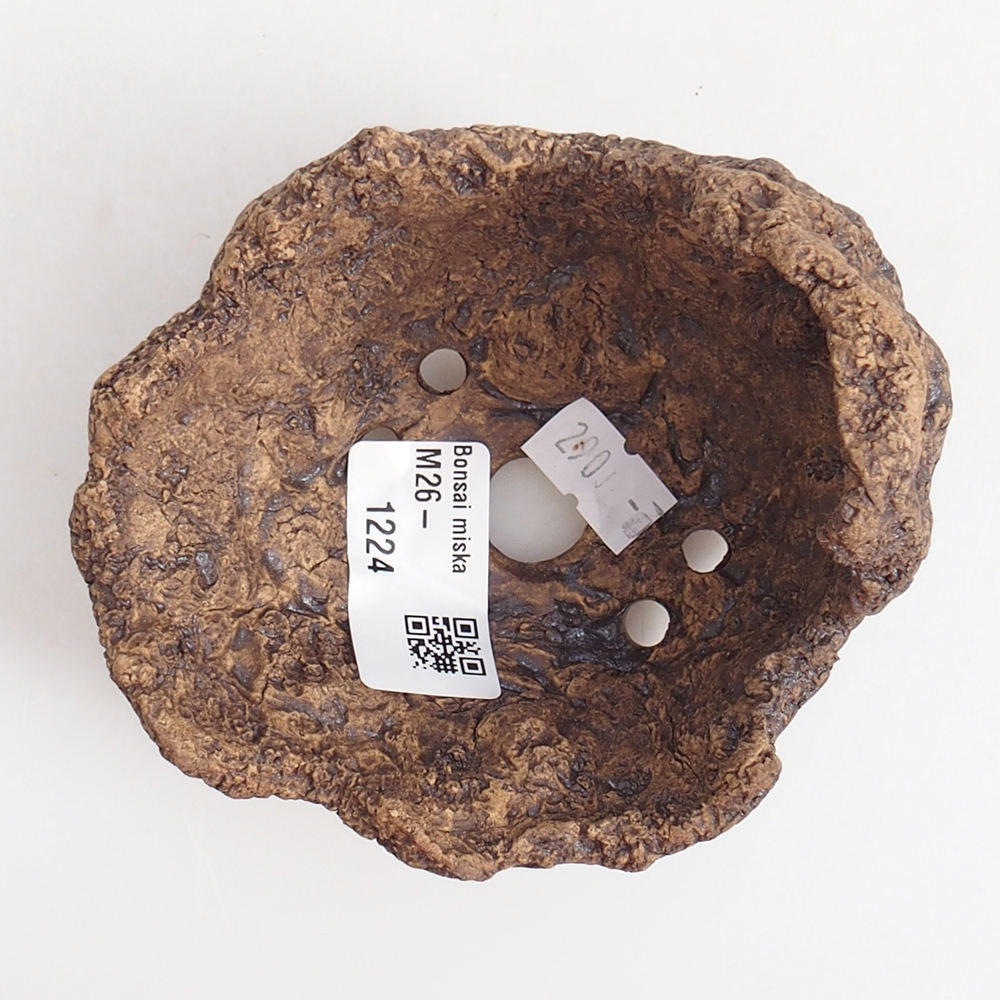 Coquille en céramique 9,5 x 9 x 8,5 cm , couleur marron