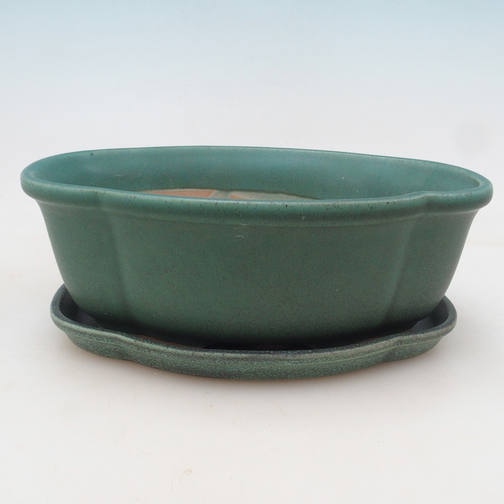 Bol Bonsaï + soucoupe H75 - vert