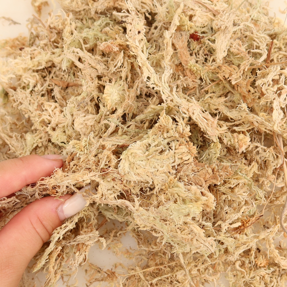 Sphagnum - tourbe de sphaigne 150 g