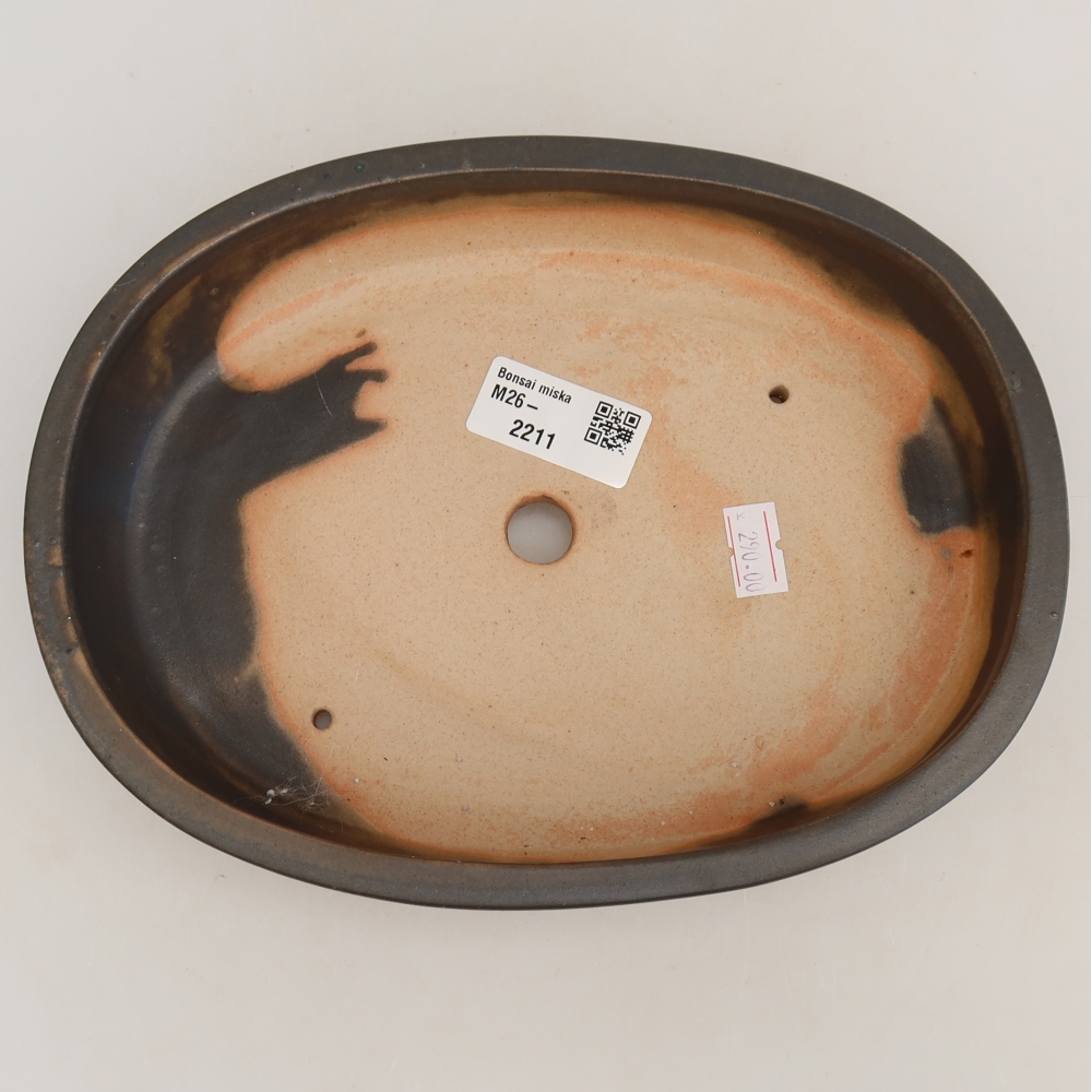 Pot à bonsaï en céramique 22 x 17 x 4 cm, couleur grise