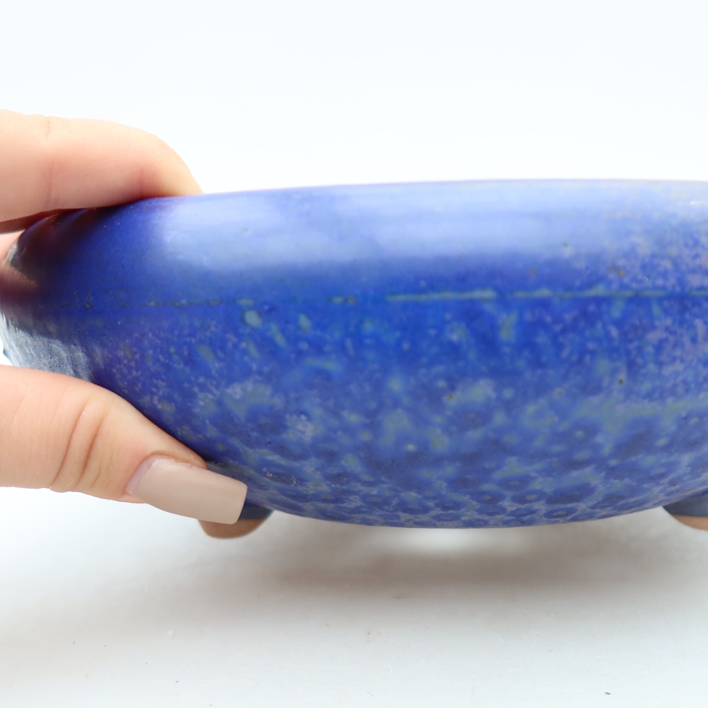 Pot à bonsaï en céramique 20 x 20 x 7,5 cm, couleur bleue