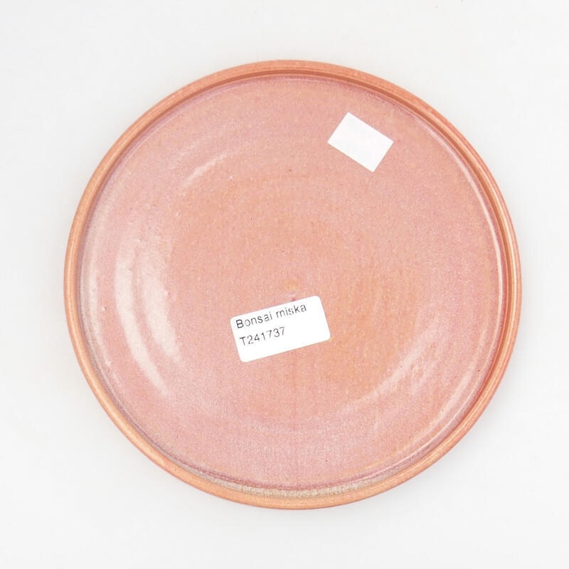 BOL BONSAÏ FILÉ MAIN - 18 X 18 X 1,5 CM , COULEUR ORANGE