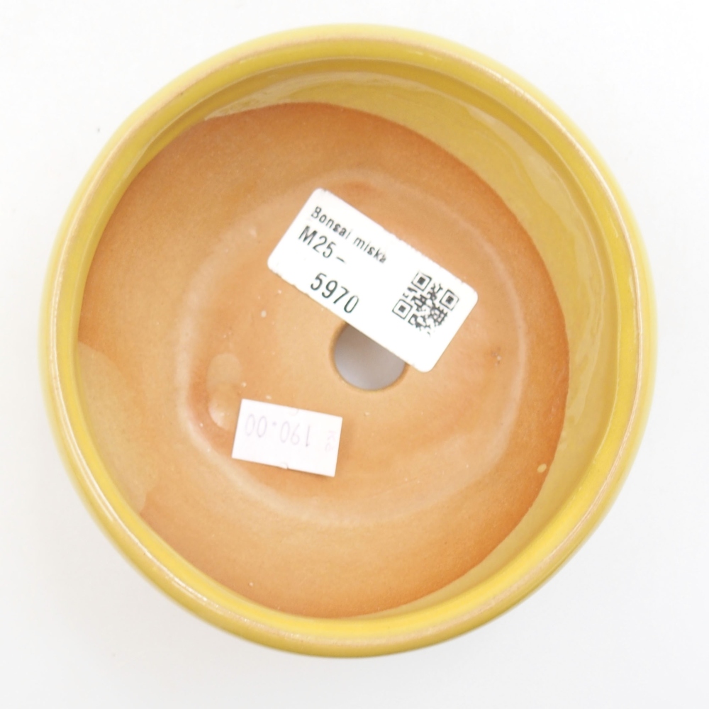 Bol à bonsaï en céramique 22 x 17 x 5 cm, vert