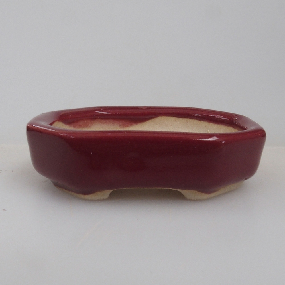Mini bol bonsaï 5,5 x 4 x 1,5 cm, couleur bordeaux