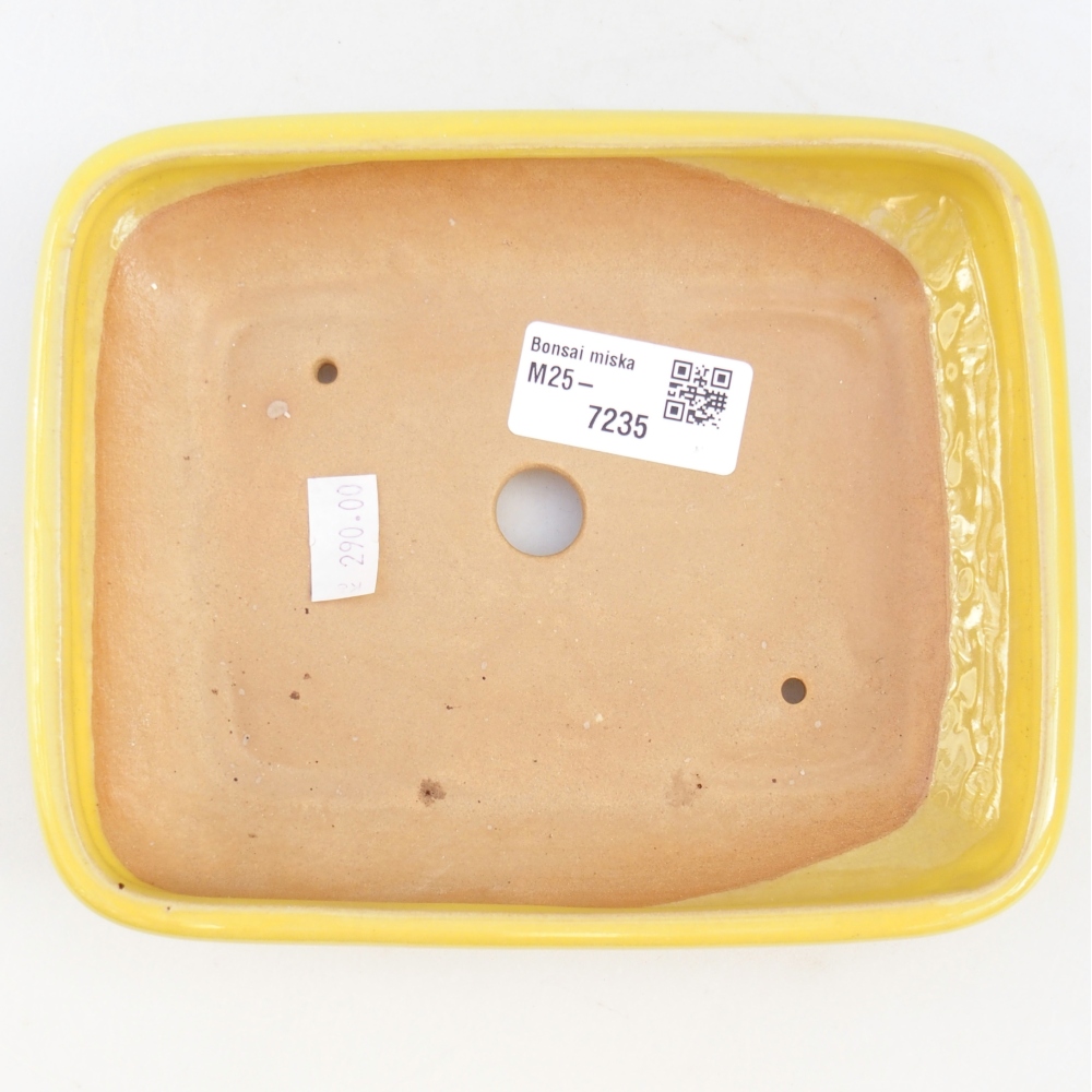 Bol à bonsaï en céramique 16,5 x 13,5 x 3,5 cm, jaune