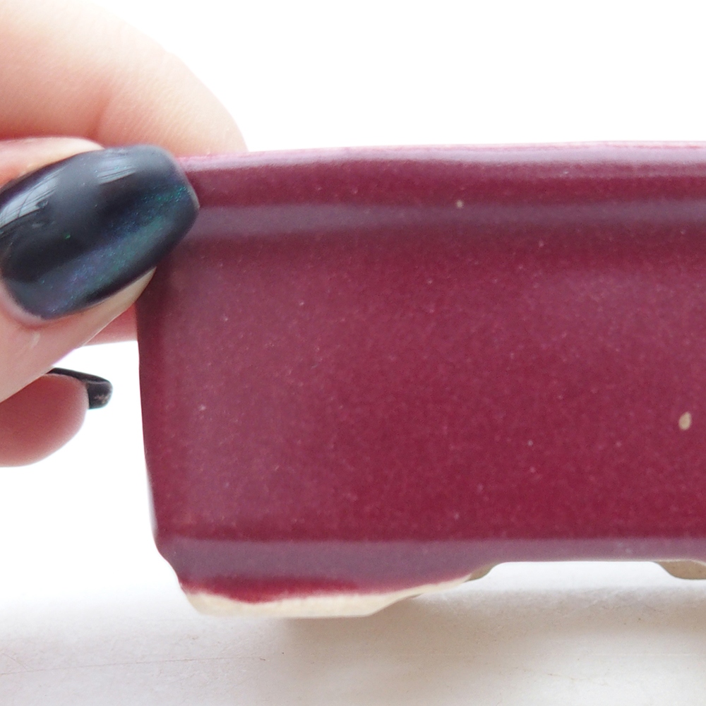 Mini bol bonsaï 8 x 6,5 x 3,5 cm, bordeaux