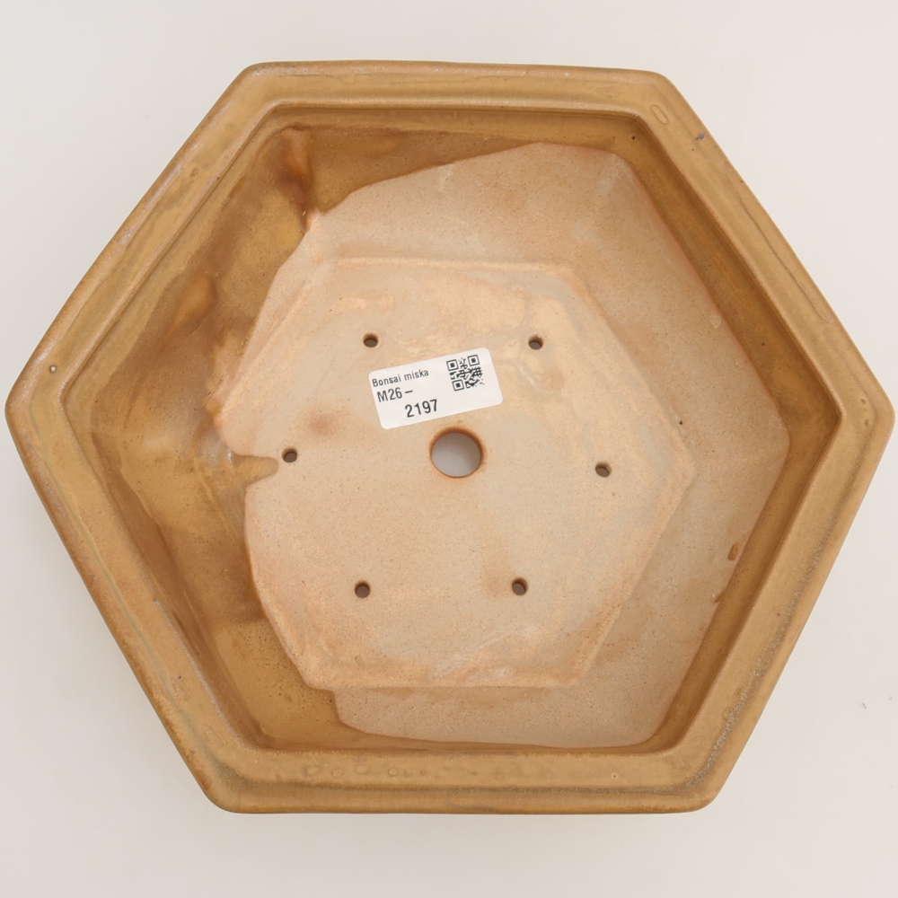 Pot à bonsaï en céramique 24 x 21,5 x 7,5 cm, couleur beige