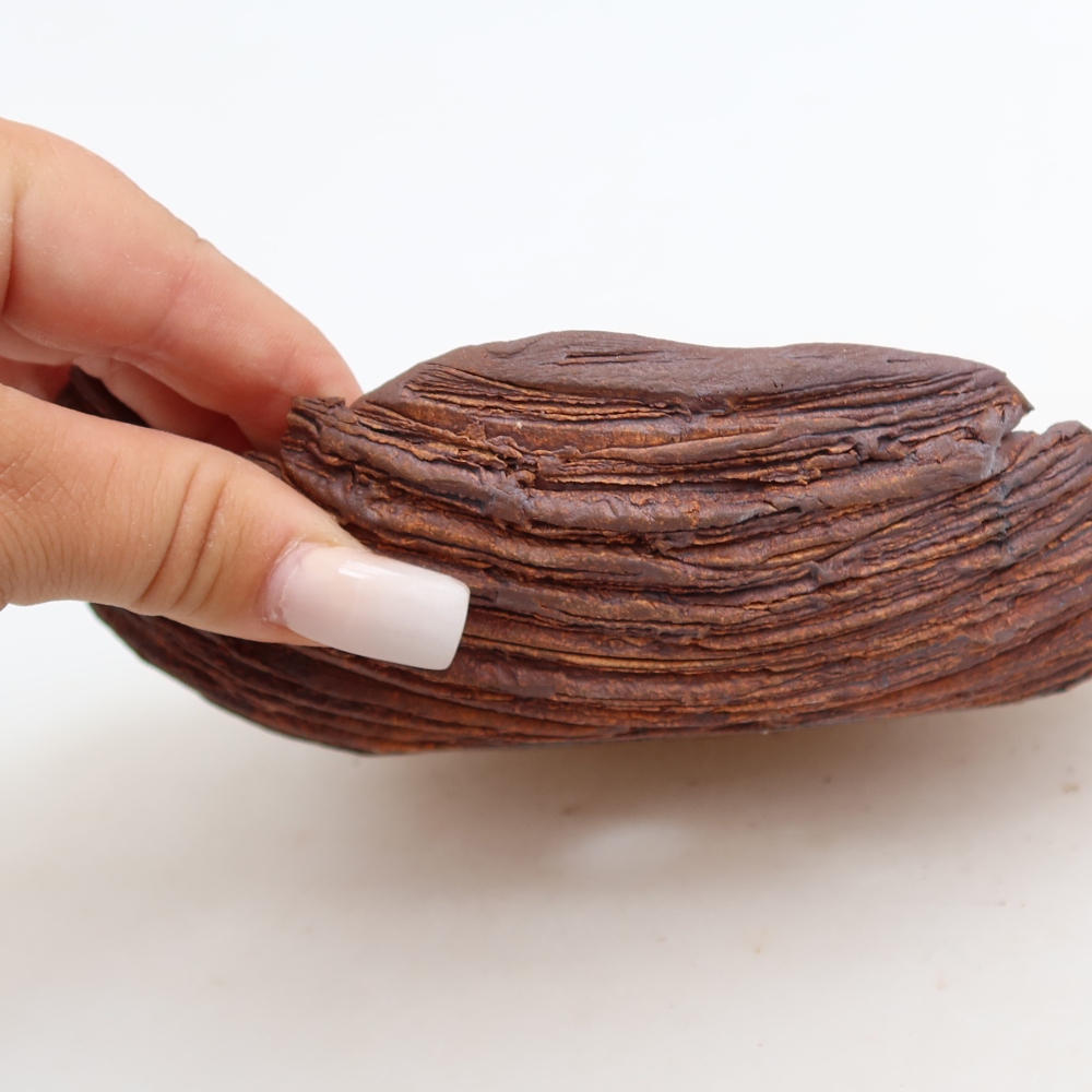 Coquille en céramique  21 x 15 x 5,5 cm, couleur marron