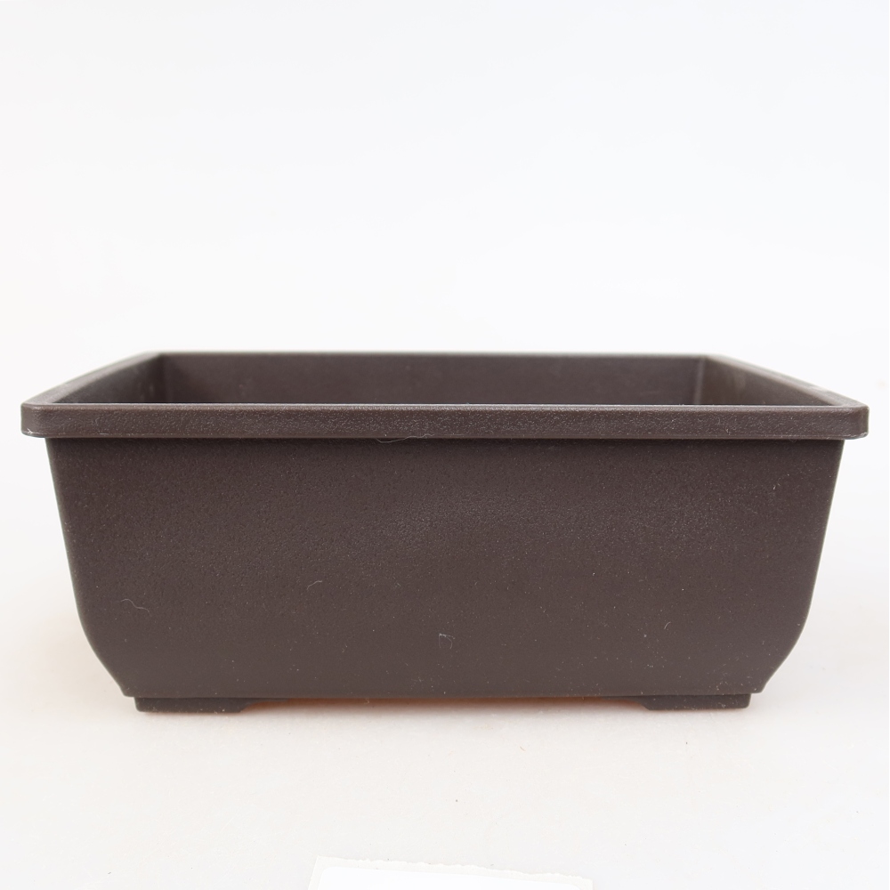 Pot à bonsaï en plastique MP-1 marron - 15 x 11 x 6 cm