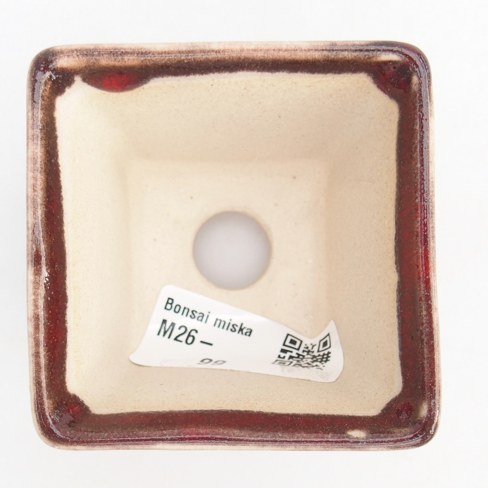 Mini bol bonsaï 6 x 6 x 5 cm, couleur rouge