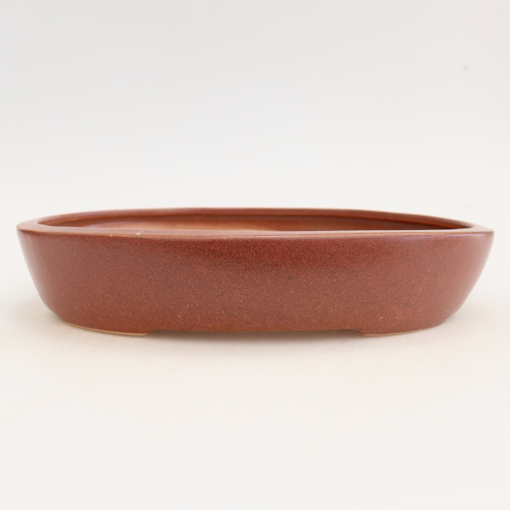 Pot à bonsaï en céramique 22 x 17 x 4 cm, couleur bordeaux