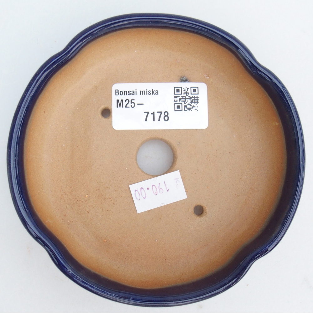 Bol à bonsaï en céramique 11 x 11 x 3 cm, couleur bleu