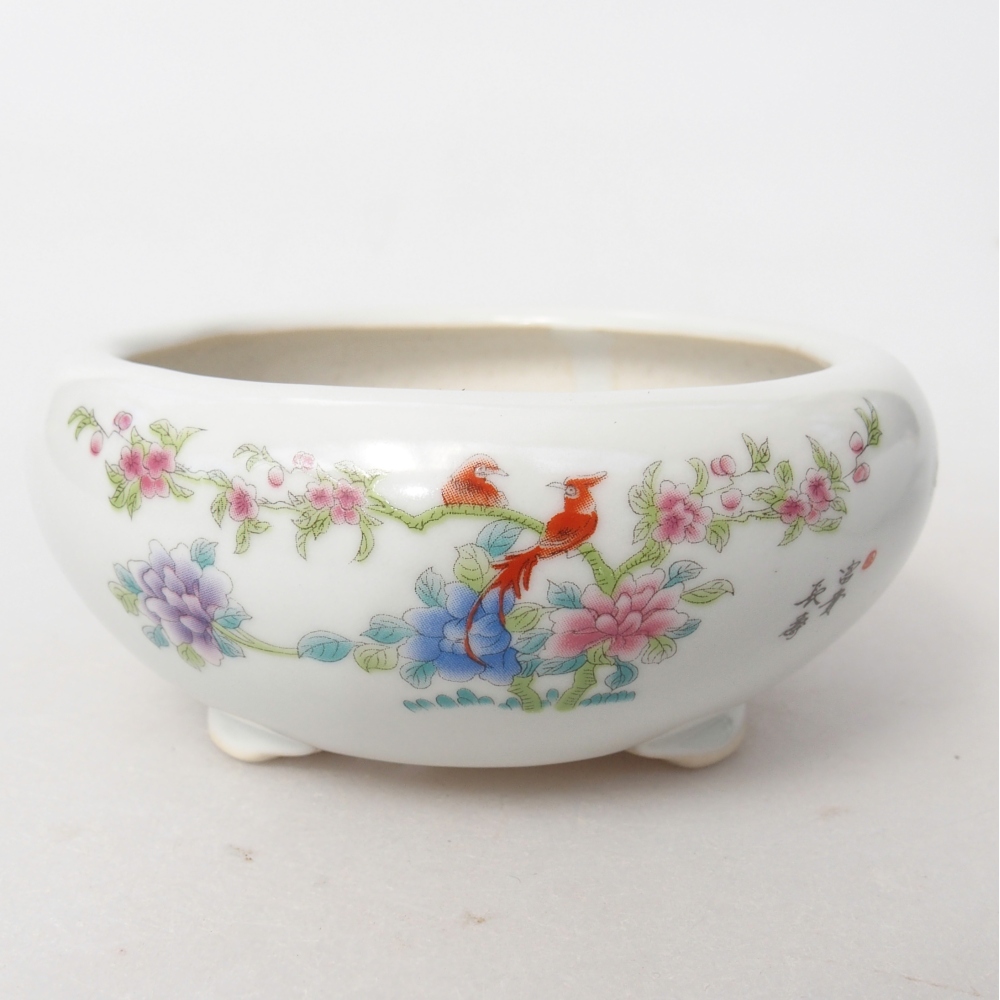 Bol à bonsaï en céramique 10 x 10 x 5 cm, couleur blanc