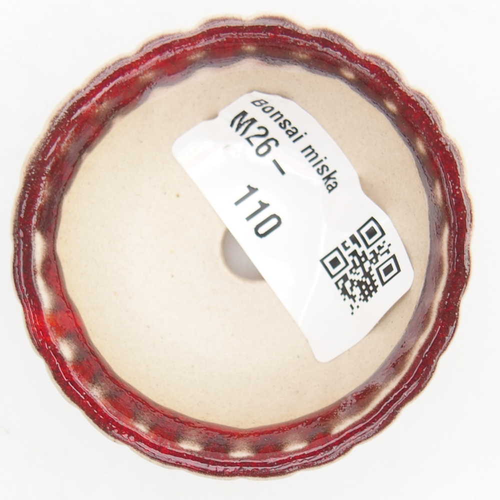 Mini bol bonsaï 5,5 x 5,5 x 2,5 cm, couleur rouge