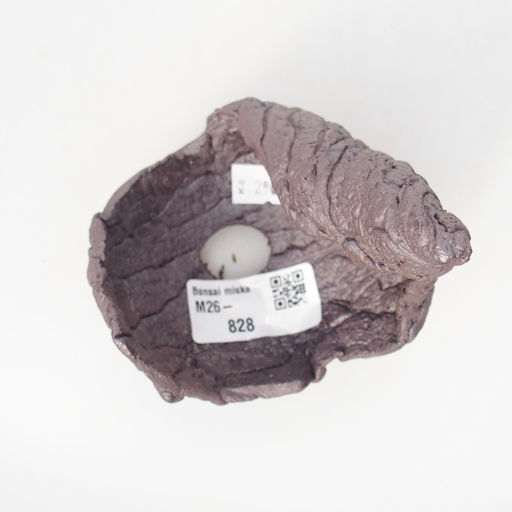 Coquille en céramique 8 x 8 x 12 cm , couleur métallique