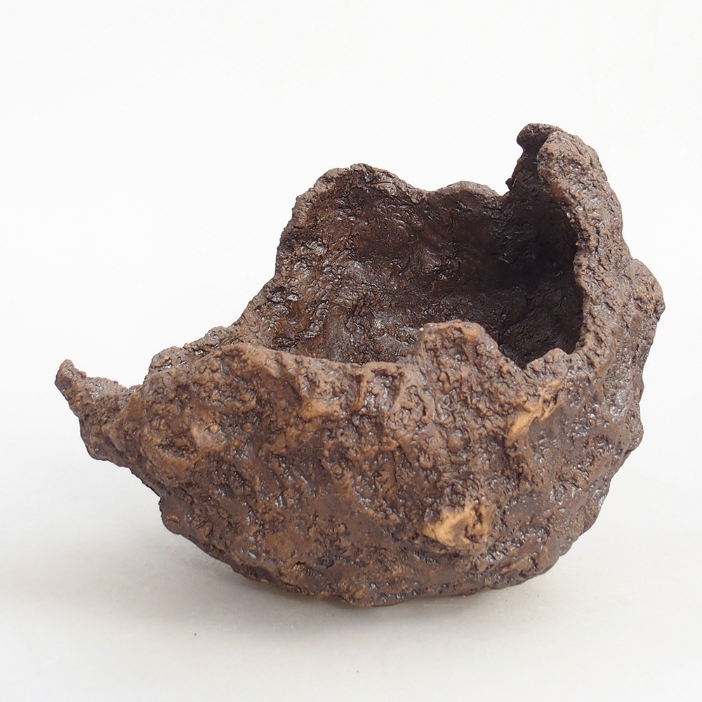Coquille en céramique 16 x 14 x 14 cm , couleur marron
