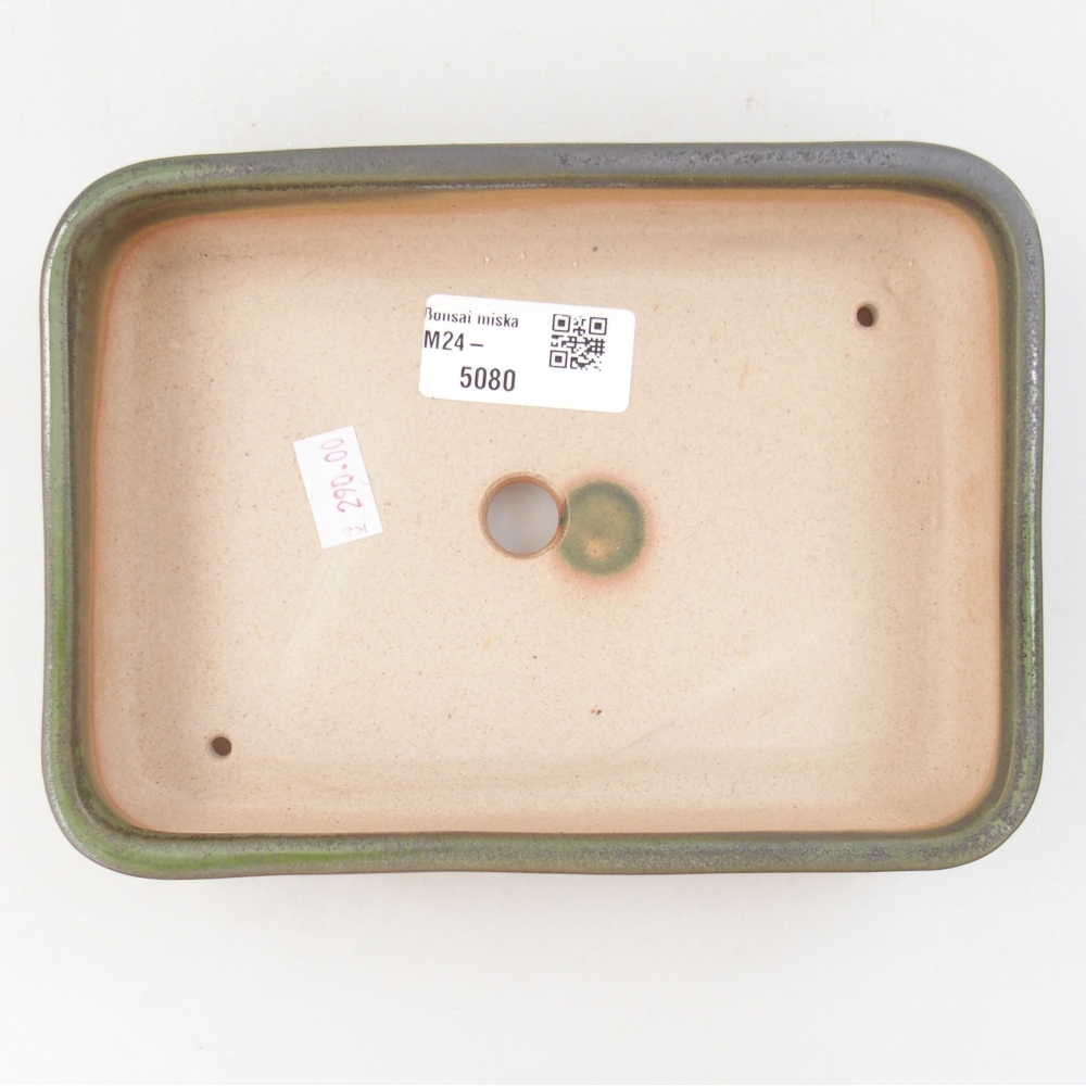 Bol à bonsaï en céramique 18 x 13,5 x 4 cm, vert