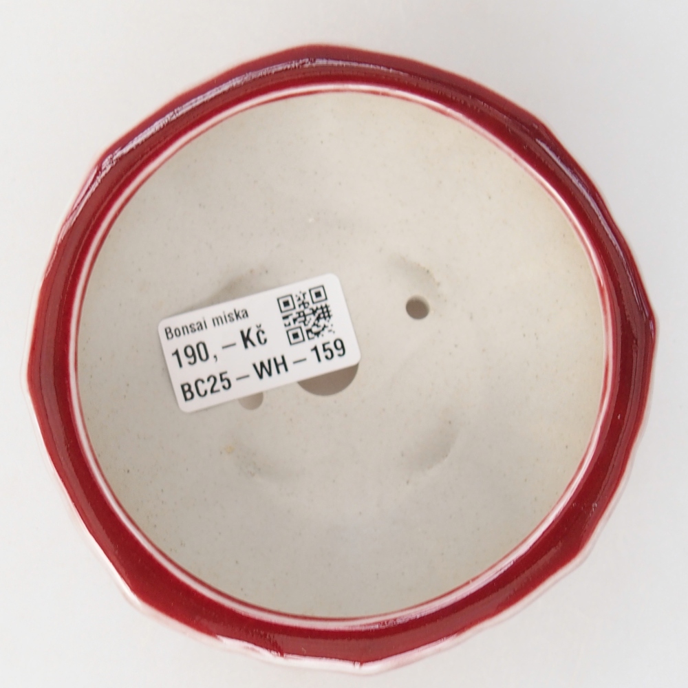Bol à bonsaï en céramique 11 x 11 x 5,5 cm, couleur rouge