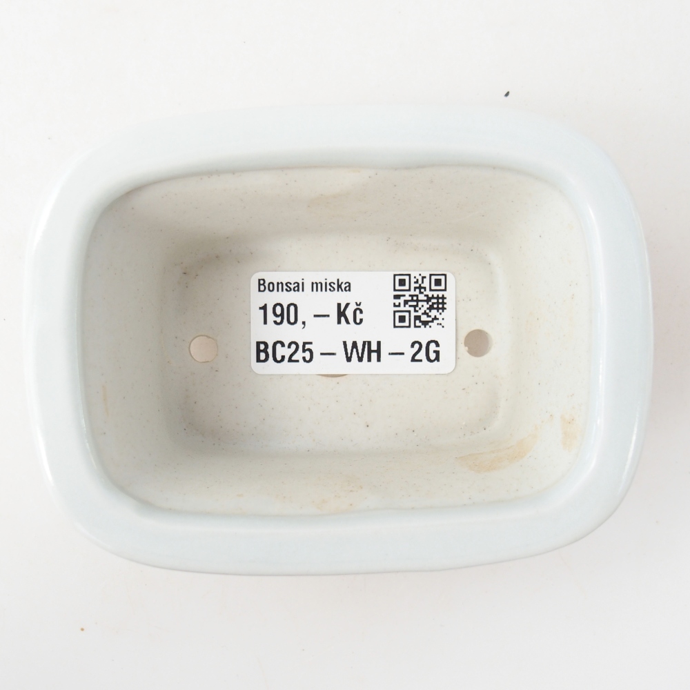 Mini bol bonsaï 10 x 7,5 x 4 cm, couleur blanc