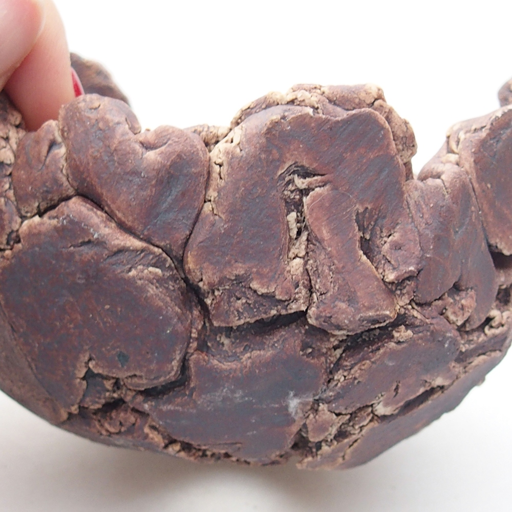 Coquille en céramique 9 x 9 x 6 cm , couleur marron