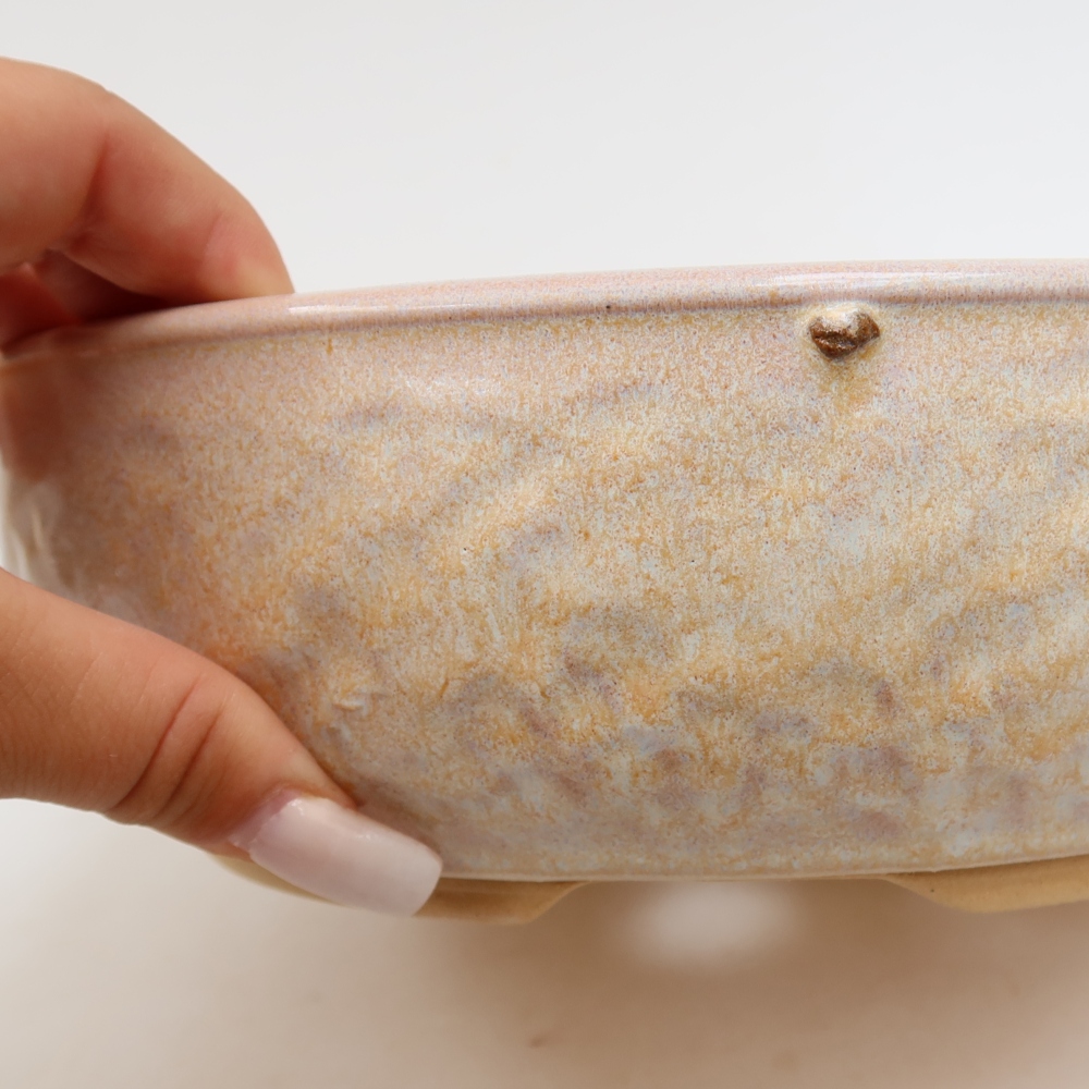 Pot à bonsaï en céramique 22,5 x 22,5 x 7 cm, couleur beige