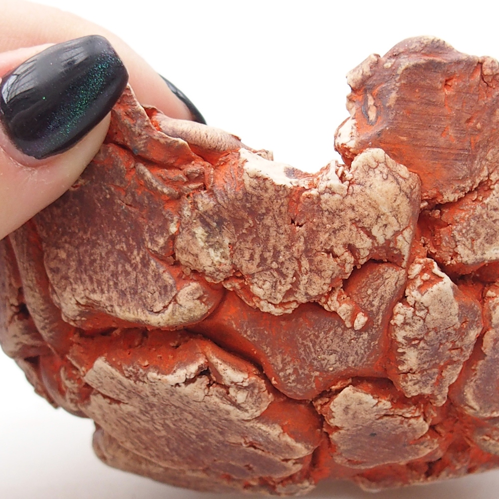 Coquille en céramique 11 x 11 x 6 cm , couleur orange