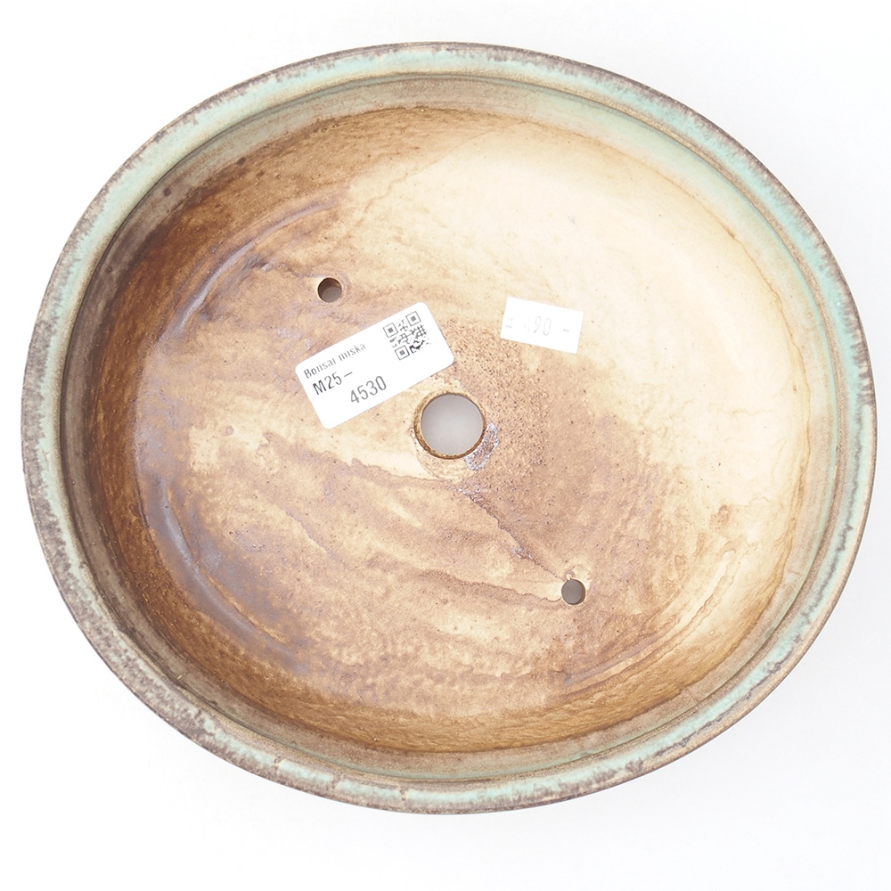 Bol à bonsaï en céramique 21 x 19 x 5 cm, vert