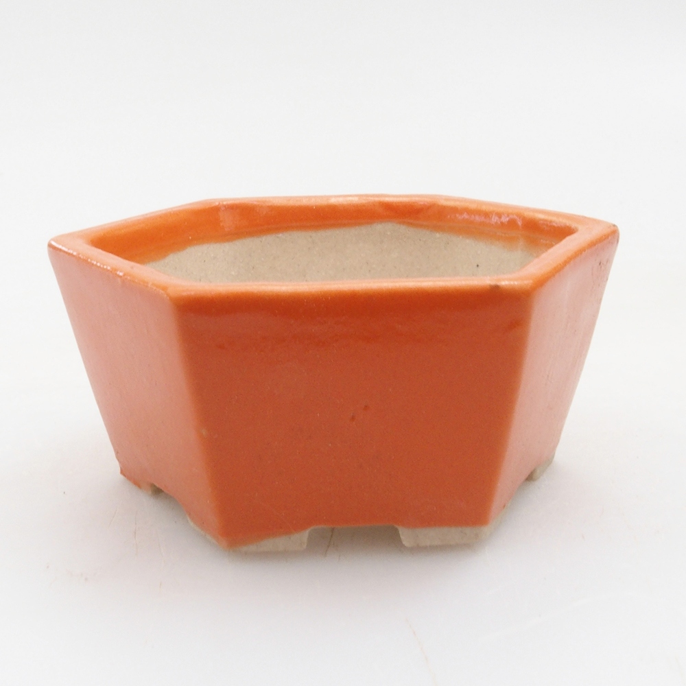 Mini bol bonsaï 6 x 5 x 2,5 cm, orange