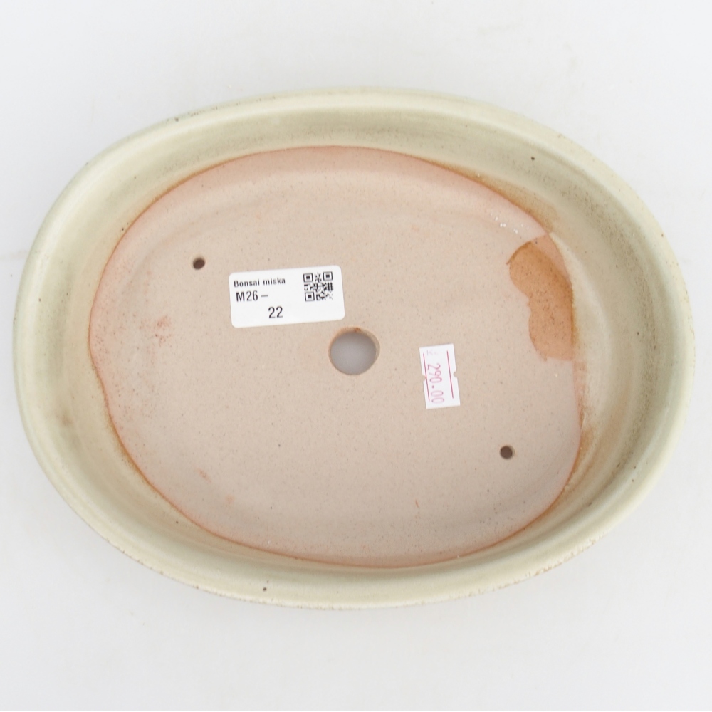 Bol à bonsaï en céramique 21,5 x 17 x 5 cm, vert