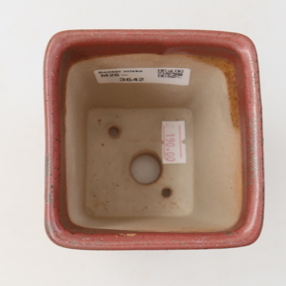 Pot à bonsaï en céramique 7,5 x 7,5 x 10,5 cm, couleur rose