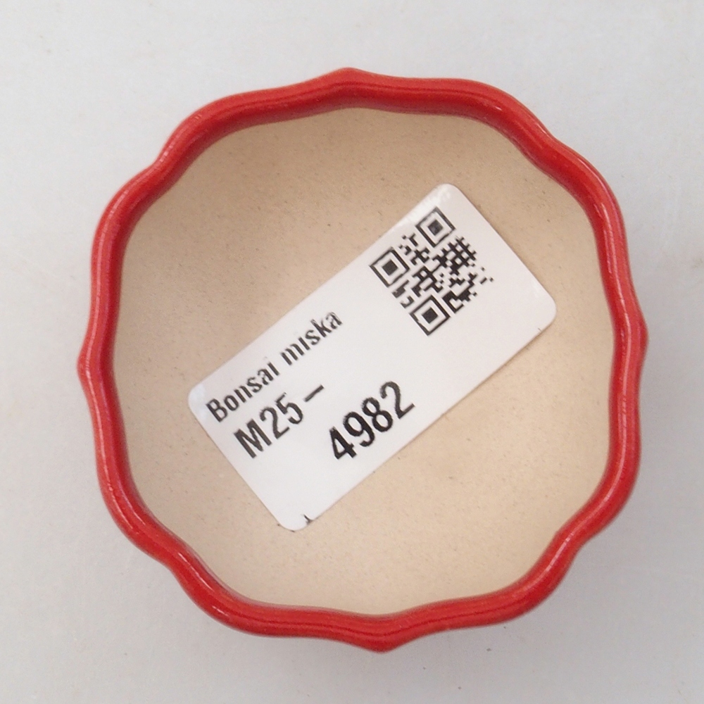 Mini bol bonsaï 6 x 5,5 x 2,5 cm, couleur rouge