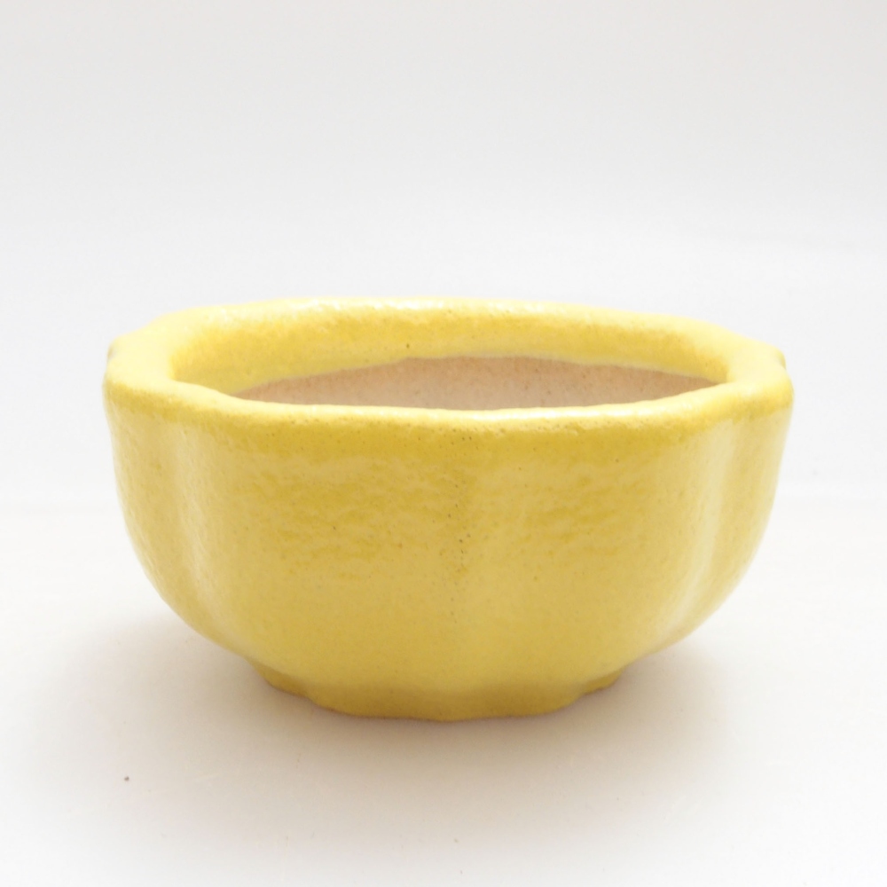 Bol à bonsaï en céramique 5,5 x 5,5 x 3 cm, jaune