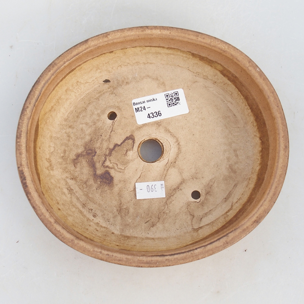 Bol à bonsaï en céramique 18,5 x 16,5 x 4 cm, rose