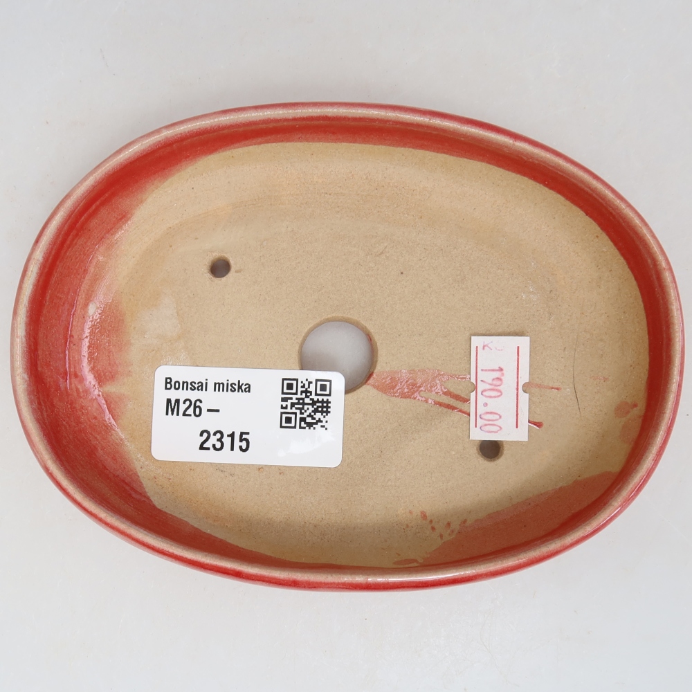 Pot à bonsaï en céramique 13 x 9,5 x 2,5 cm, couleur rouge