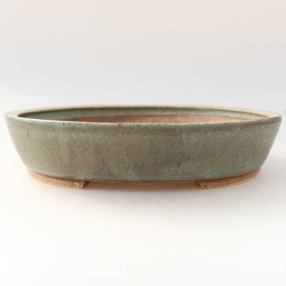 Bol à bonsaï en céramique 21 x 19 x 4,5 cm, vert