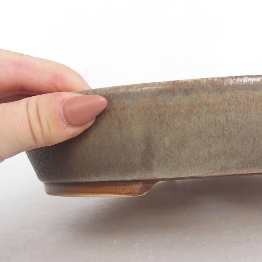 Bol à bonsaï en céramique 22,5 x 20 x 4,5 cm, vert