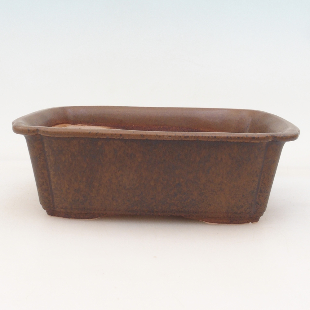 Bol à bonsaï H50 - 17 x 12,5 x 5,5 cm - brun