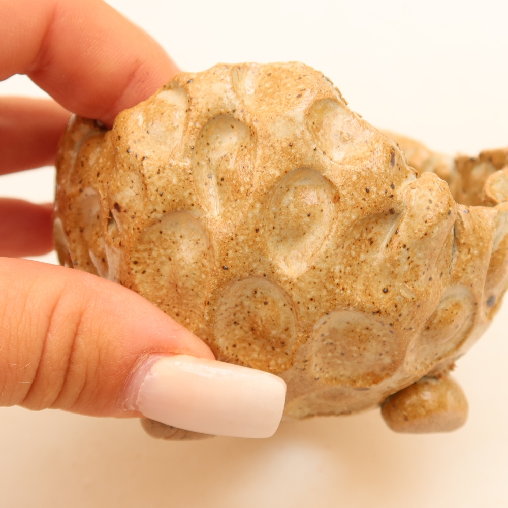 Coquille en céramique 8,5 x 8,5 x 6 cm , couleur beige