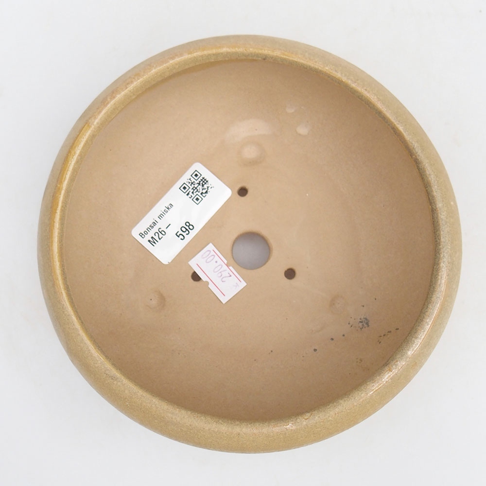 Bol à bonsaï en céramique 14 x 14 x 6,5 cm, couleur beige