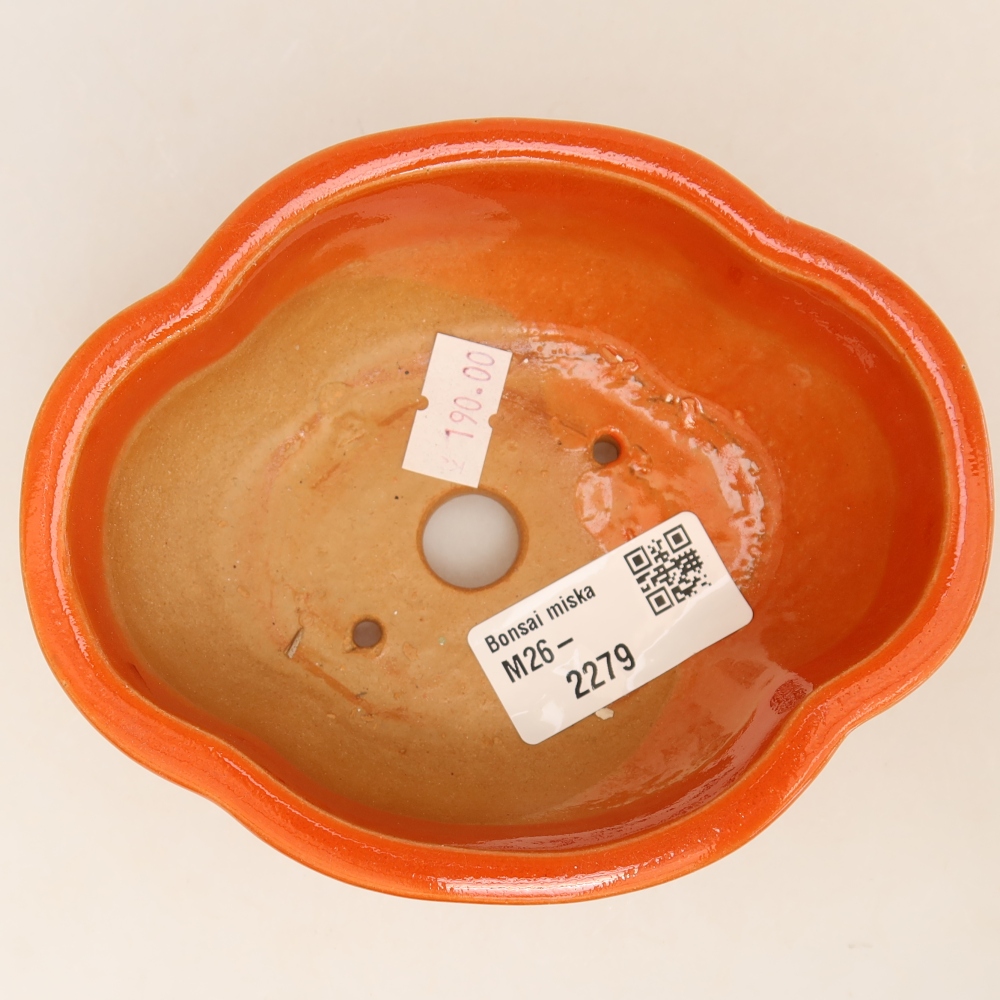 Pot à bonsaï en céramique 12,5 x 10,5 x 4,5 cm, couleur orange
