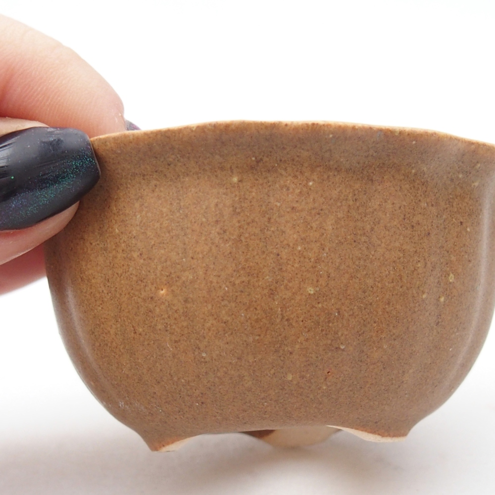 Mini bol bonsaï 7,5 x 7,5 x 3,5 cm, brun