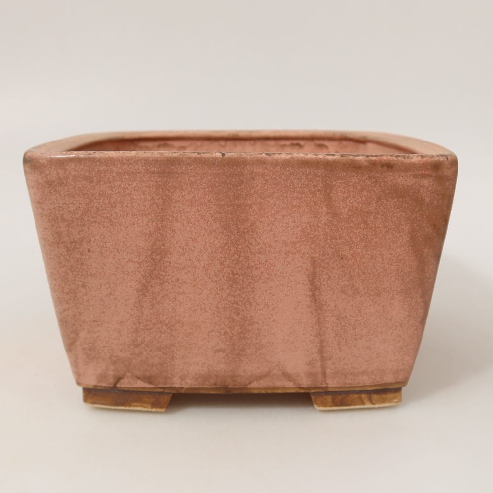 Pot à bonsaï en céramique 16 x 16 x 10 cm, couleur rose